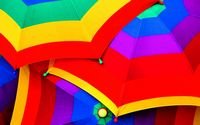 pic for Colourful Umbrella 